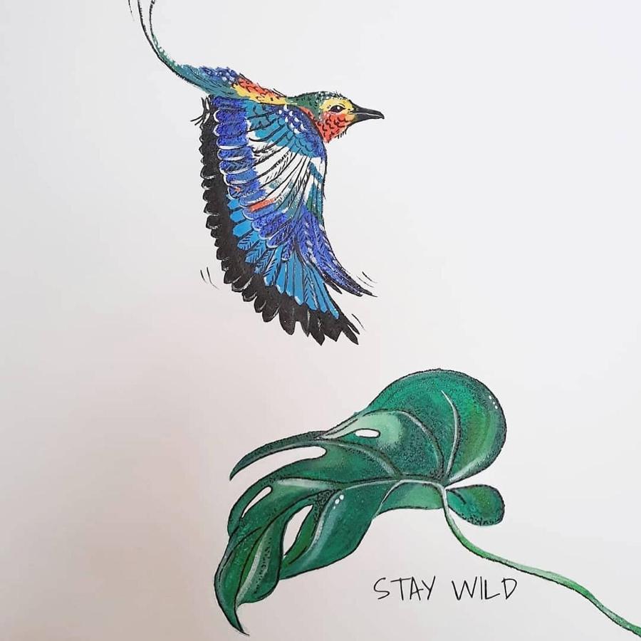 #Staywild29 - Gemuetliche Ferienwohnung Im Allgaeu Kempten Exteriör bild